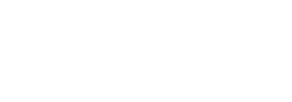 LANDVIS Logo